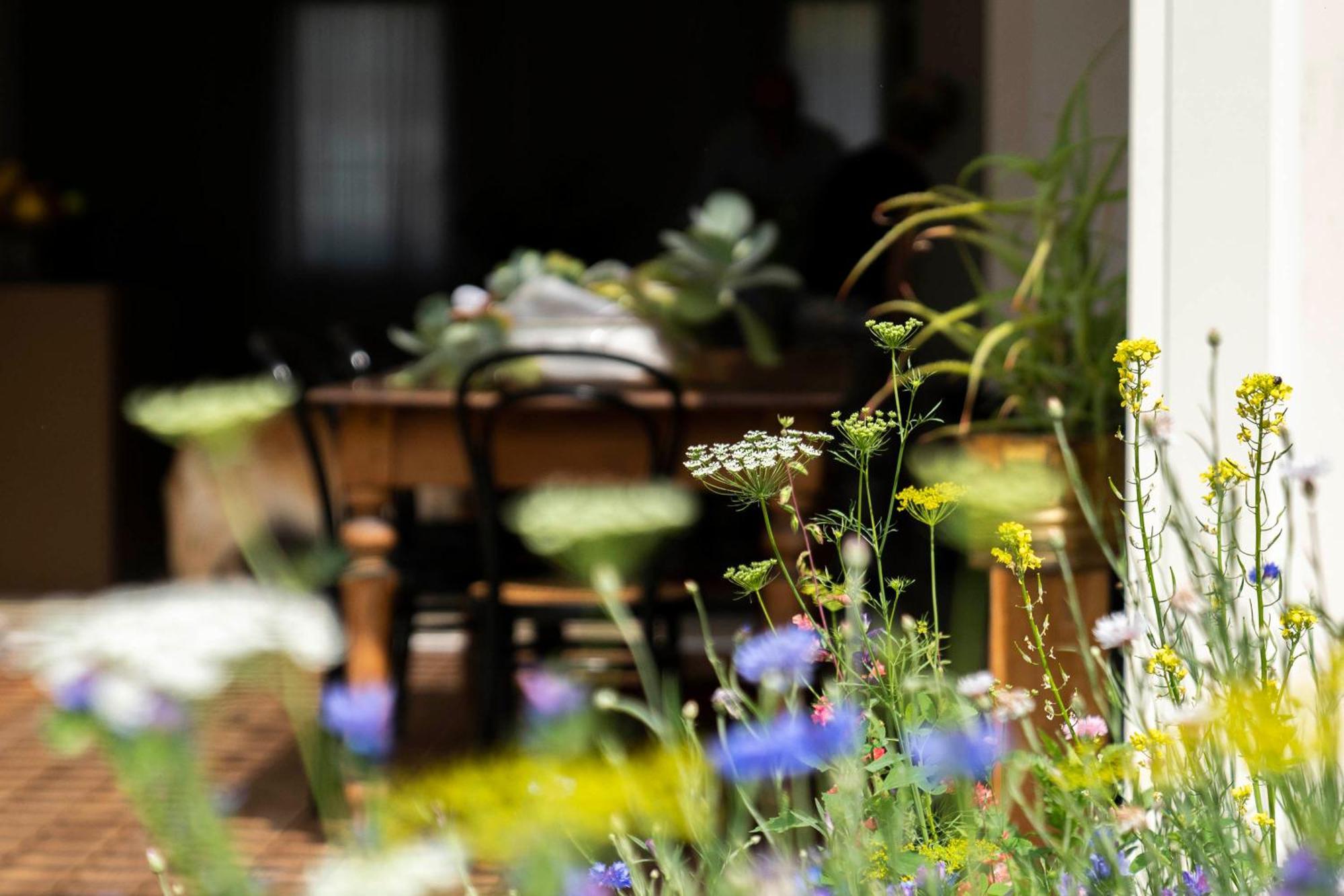 Bed And Breakfast Canalgrande Mira Ngoại thất bức ảnh